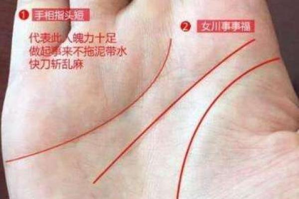 从手相看命运，揭秘女生内心深处的秘密