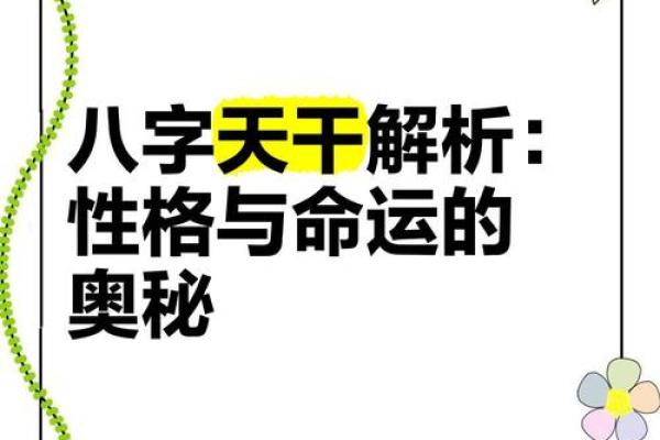 男人九个螺纹是什么命？揭示命运与性格的奥秘！