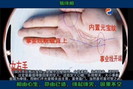 从手相看命运，揭秘女生内心深处的秘密