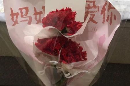 《命都快吓没，探寻生活中的惊喜与感动》