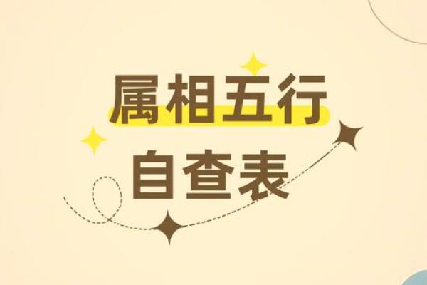 探寻李智昊的五行命理，揭示他内心深处的智慧与命运轨迹