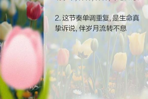 命若琴弦：探寻生命的韵律与平衡之道