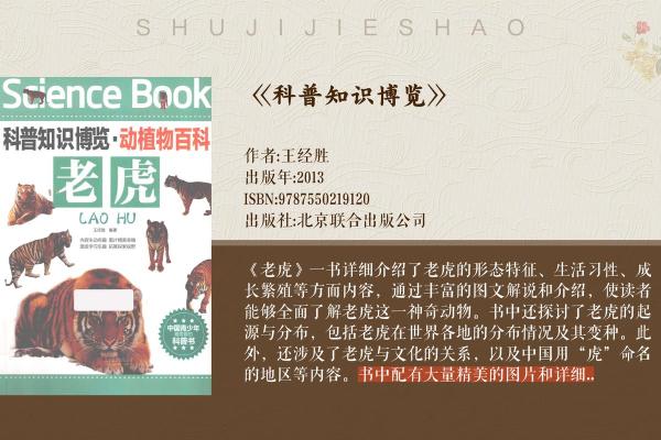 2024年虎年：解读虎年命理与未来运势的神秘之旅