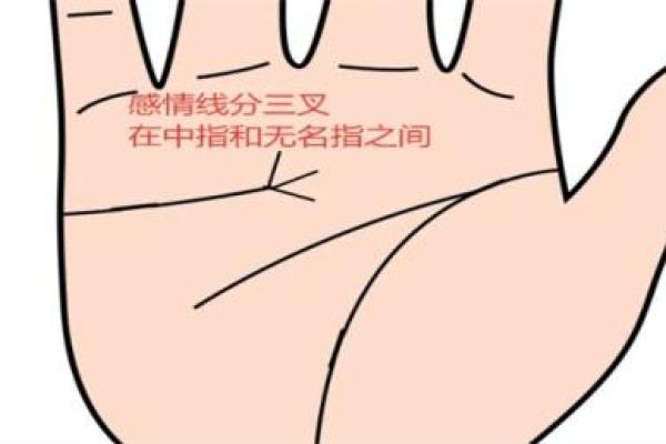 解密手上九个螺的命运：女性命理与人生的奥秘