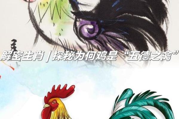 解密命凄凉：生肖与动物的深刻寓意与启示