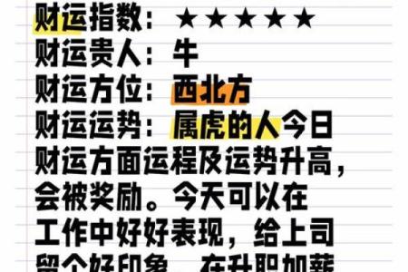 2024年虎年：解读虎年命理与未来运势的神秘之旅