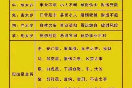 2016年农历生肖与命运：解读属于你的命格与未来机会