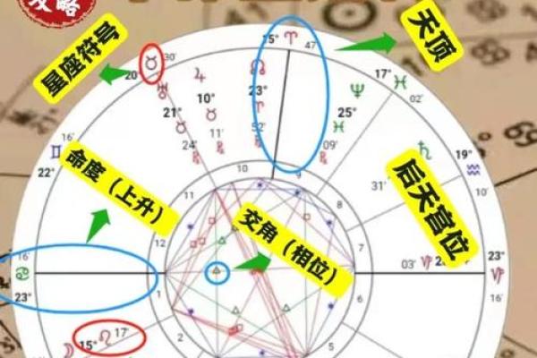 探寻命格奥秘：如何免费查找你的命格与人生方向