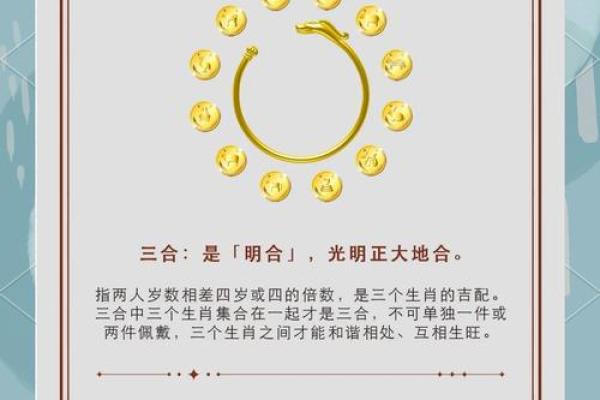 解读“妙命”之意，探索与生肖的深刻联系