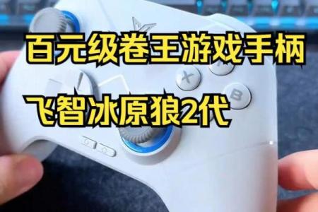 《暖雪：掌握游戏手柄，畅享无忧冒险体验》