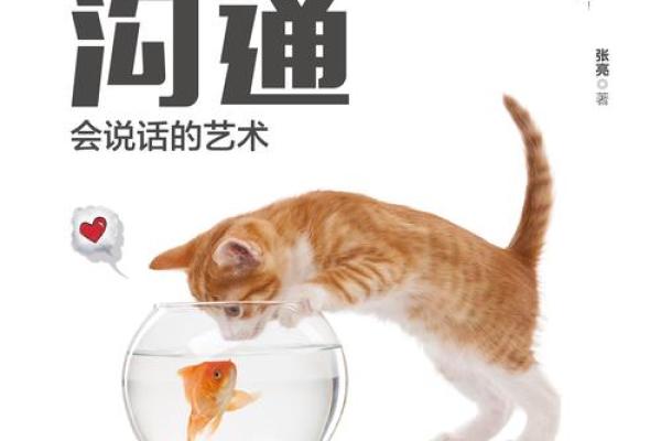 兑卦的智慧与启示：开口与沟通的艺术