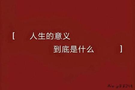 当生命的意义被质疑，我们该何去何从？