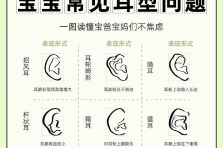 耳朵面相解读：细说耳朵的形状与命运的联系