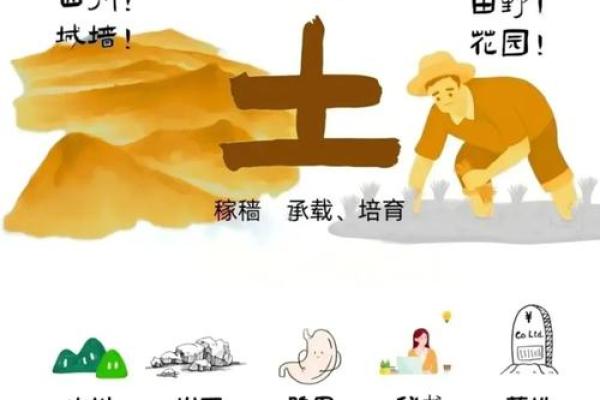 探寻农历2月18日出生的命运之谜：命格解析与人生启示