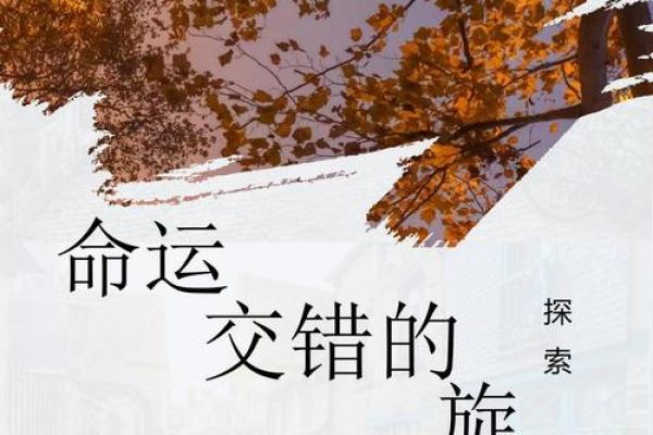 命若琴弦：人生命运的无形牵引与选择之力