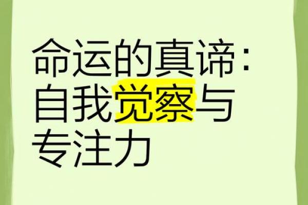 命运的悬崖：在未知中探索生命的真谛