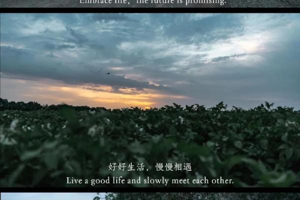 探寻零九年孩子的命运与人生轨迹