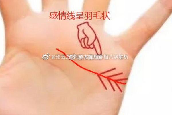 探寻六三年属兔的命运之道：从性格到运势的全景解析