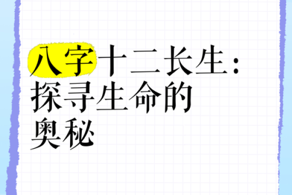 九三年二月初六出生的命理解析：探索生命的奥秘与机遇