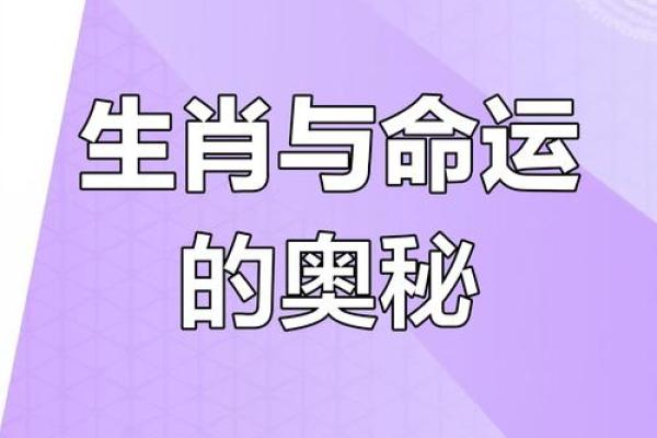 探寻九七年二月十九的命运密码：生肖与命理解析