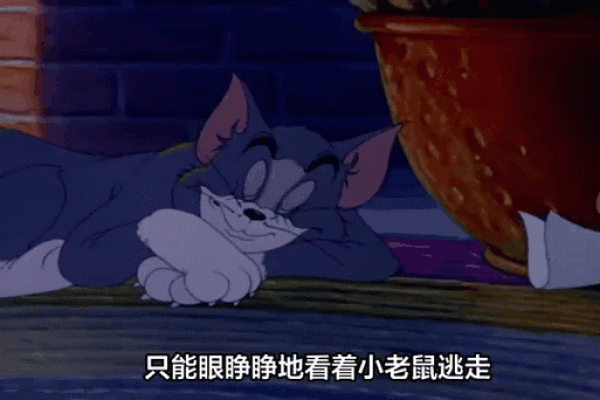 探寻老鼠的命运：小生命的坚韧与智慧
