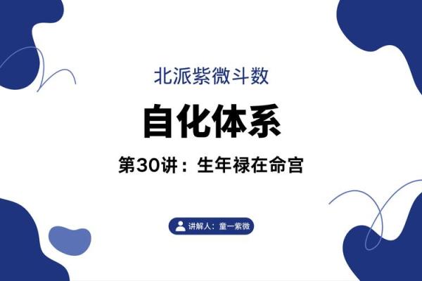 探索命理：老年禄对人生的深远影响与意义