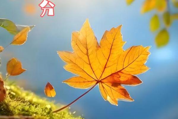 命理中的日月夹嗣：探寻人生起伏的秘密与智慧