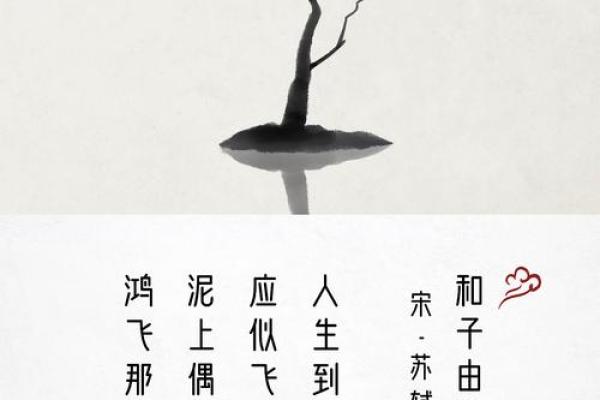 探寻“二指宽”的深意与文化内涵