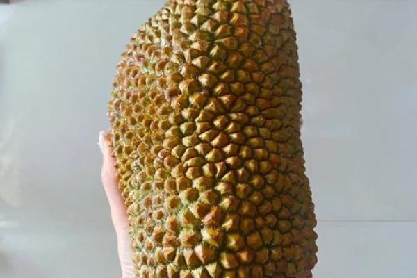 探秘女人榴莲命：她们的命运与性格特征解析