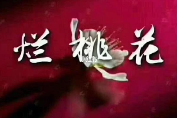 命里犯桃花的歌意义解析：缘分与爱恋的迷离气息