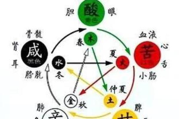 命里缺木，五行之中寻生活平衡的奥秘与智慧