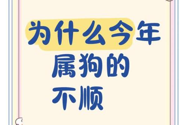 九四年属狗的命运解析：揭秘你的命格与性格特征