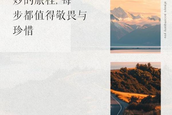 命若琴弦，人生如诗：探寻生命的和声与韵律