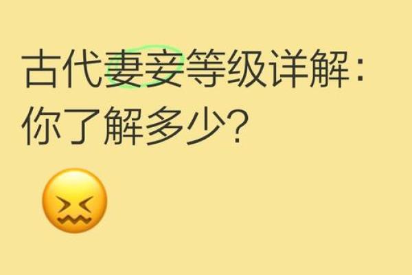探讨女人妻妾命：古代婚姻的多样性与女性的生活境遇