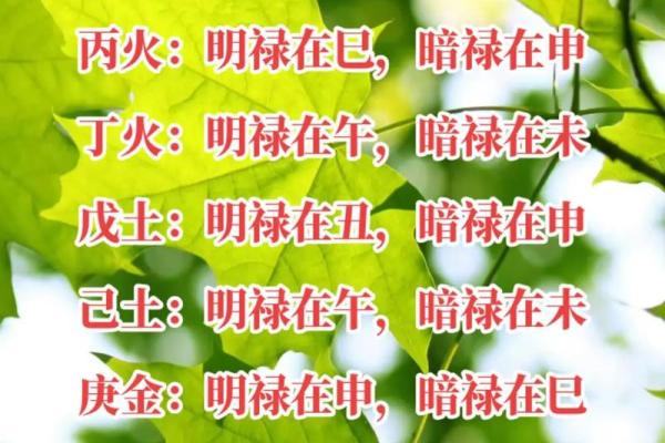 命理解析：福禄少的深层含义与人生启示