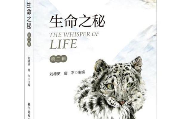 探索命理的奥秘与智慧：解读生命之书的深邃内涵