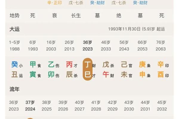 正官星在女性命理中的深层寓意与影响解析