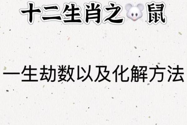 九六年属鼠的人是什么命？揭开生肖的神秘面纱！