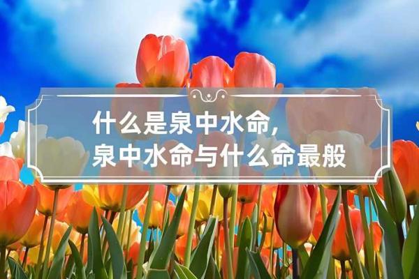 命理揭秘：清秀命的内涵与影响力探讨