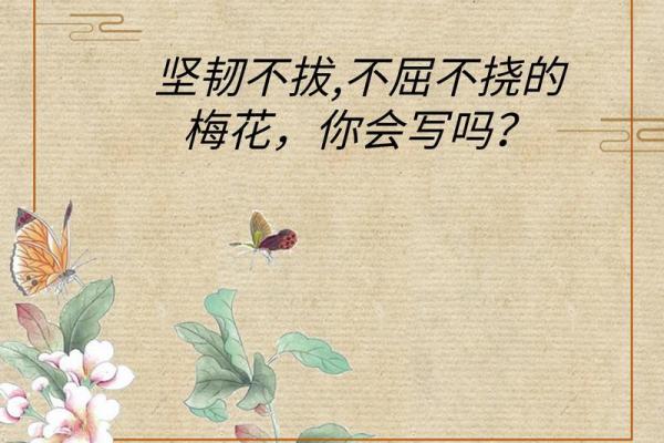 解读《命硬》歌词：人生的坚韧与不屈精神