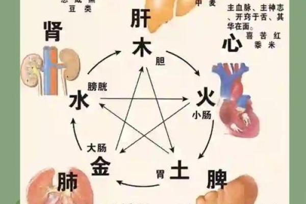 五行之灵——探索春夏秋冬四季出生的命运之谜