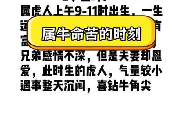 九月出生的属牛人：命运解析与人生指南