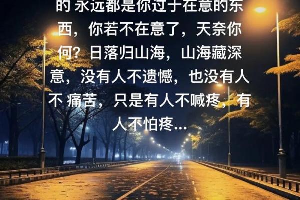 探寻“九品九命”的深意：命运与人生的思考之旅