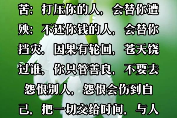 解密“凌人2命”：这句古语背后的智慧与深意