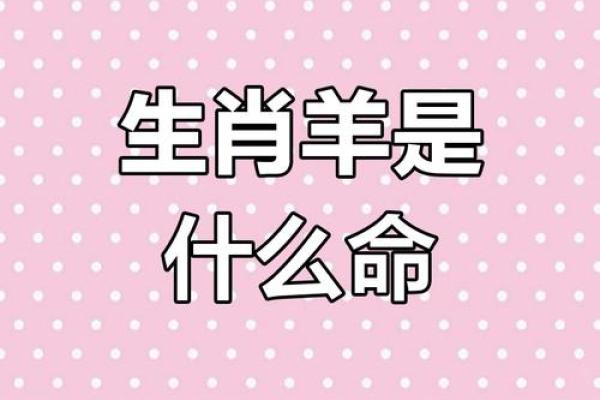 羊的命运：老邻居的智慧与经历探讨