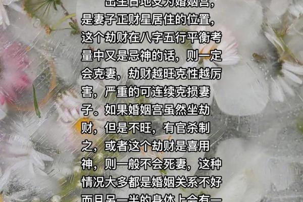 命里克妻独子：揭开命理与家庭的秘密