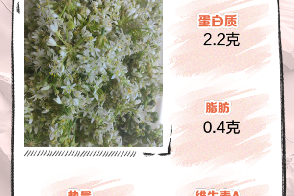 韭菜花命：探索生命的韧性与美丽