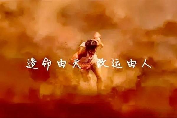 命里无子的人的命运与人生选择探讨