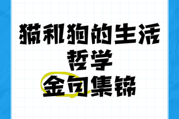 命里有狗，幸福伴随的生活哲学与启示