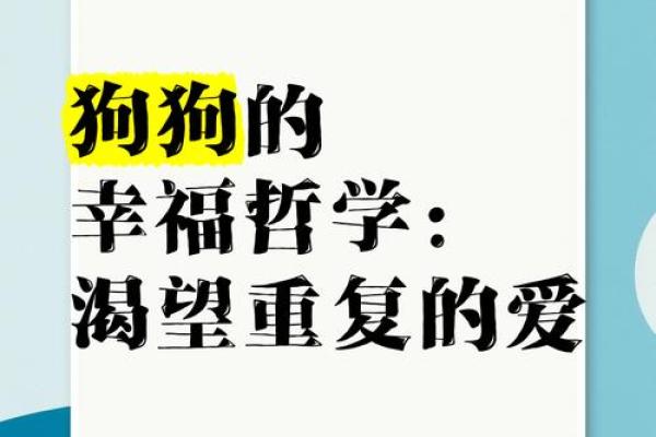 命里有狗，幸福伴随的生活哲学与启示